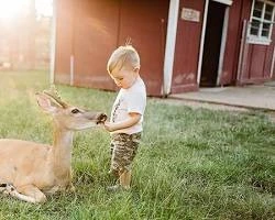 Houchatown petting zoo