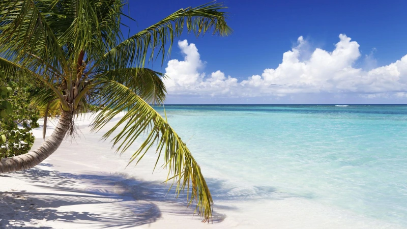 Flamenco Beach Puerto Rico clear water and white sand