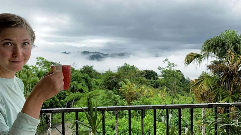 Puerto Rico coffee plantation green mountains and farm
