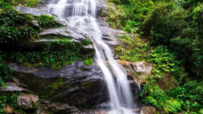 waterfall inside Tijuca National Park surrounded by rainforest in Rio de Janeiro