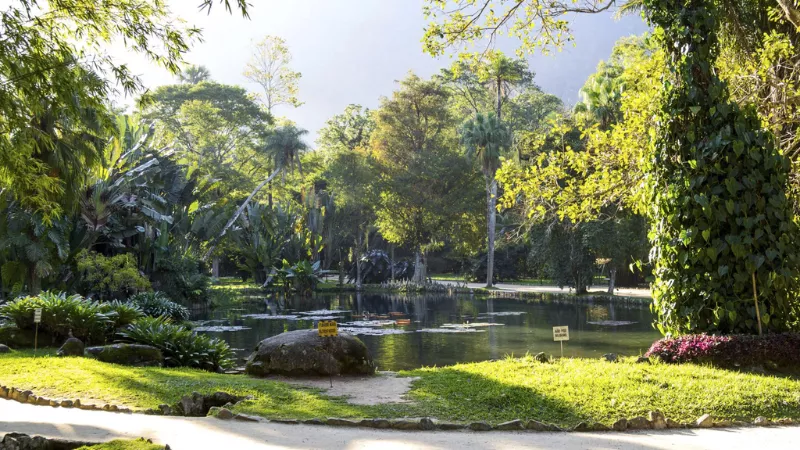 Botanical Garden Rio Visit