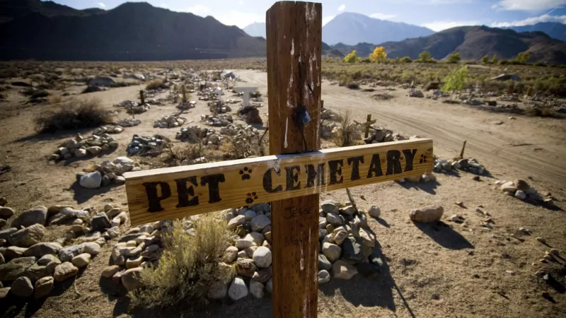 Visit the Pet Cemetery & Edge Road Memorial Park