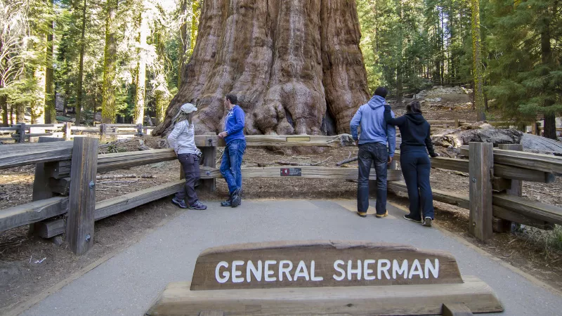 Things to Do in Sequoia and Kings Canyon National Park in 2026