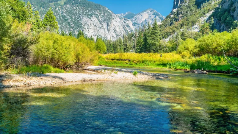 Zumwalt Meadow peaceful landscape Kings Canyon National Park