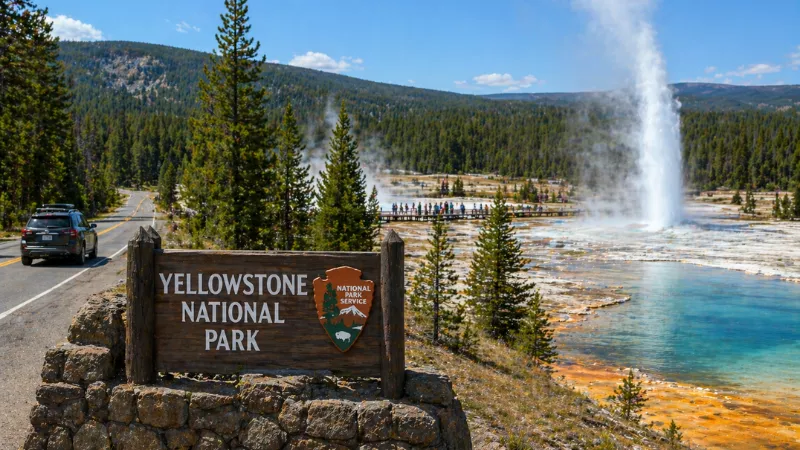 geyser eruption and geothermal pools in Yellowstone National Park with forest and mountain landscape