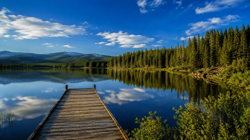 Island Park Reservoir in Idaho surrounded by lodgepole pine forest on a clear summer afternoon