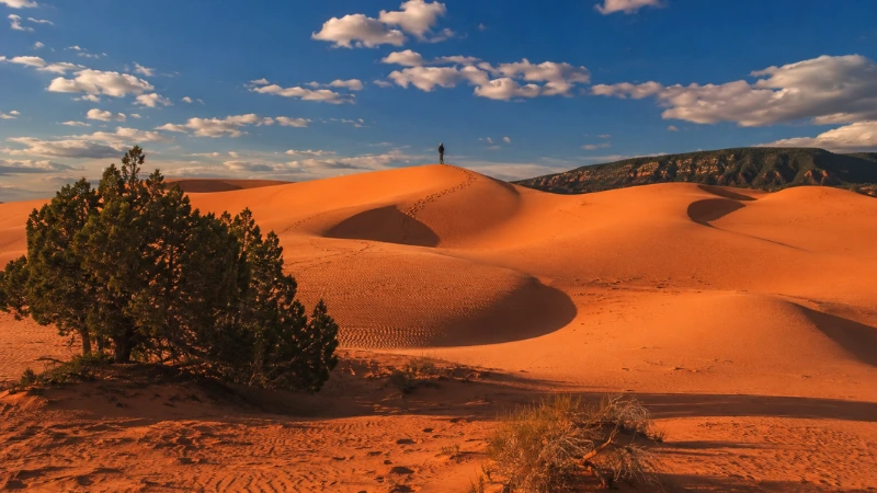 pink orange sand dunes at Coral Pink Sand Dunes State Park near Kanab Utah