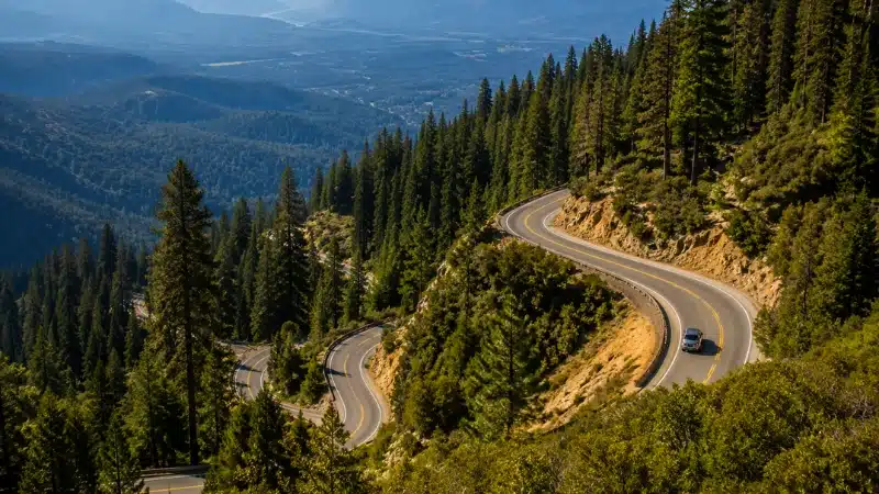 Winding switchbacks of the Generals Highway climbing through forest toward the Giant Forest in Sequoia National Park