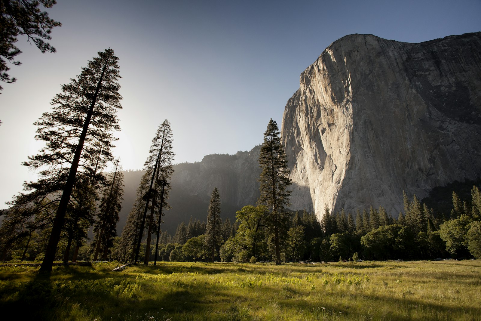 American West mountains and forest
