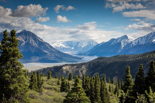 Island Park Idaho near Yellowstone