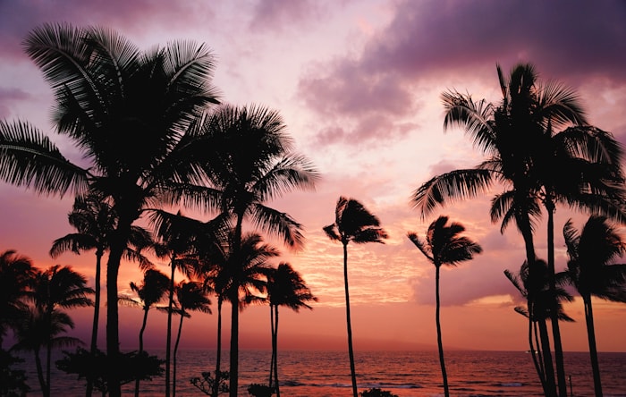 Maui Hawaii guide