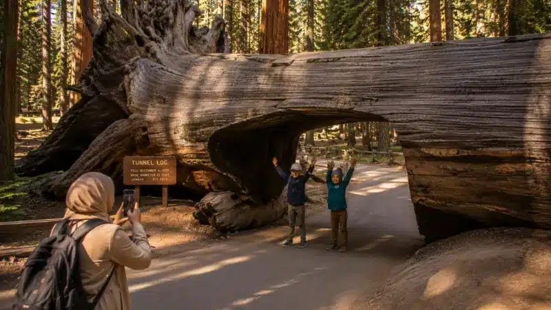 Children standing inside the carved Tunnel Log in Sequoia National Park