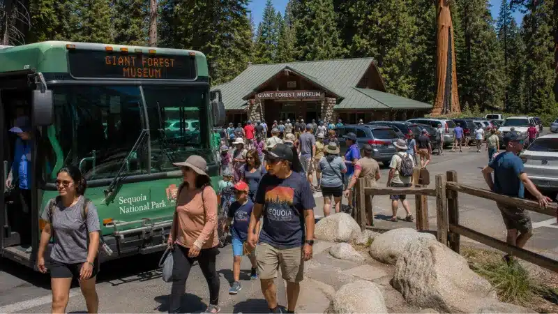 Summer visitors boarding the free in-park shuttle near the Giant Forest Museum