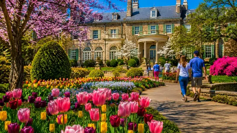 Colorful spring tulips in bloom at Cheekwood Estate and Botanical Gardens Nashville with the historic mansion behind